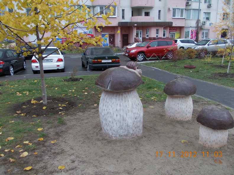 Киев, ноябрь 2012 года.