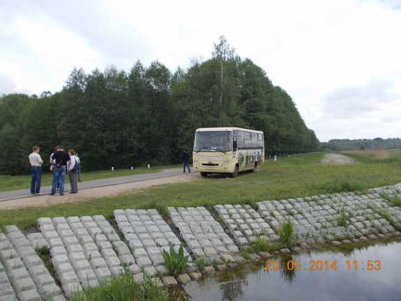 Беловежская пуща.