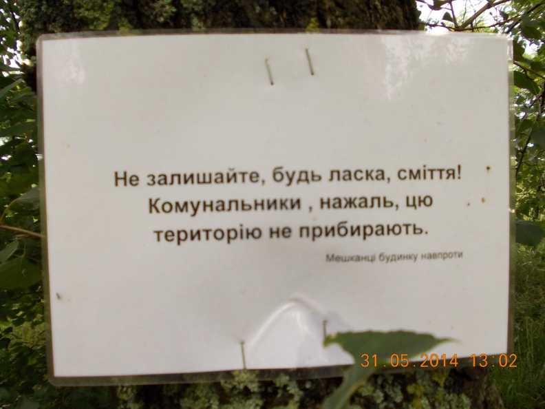 Киев, Позняки, шашлык из сома у озера, грибы.