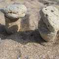 Каменные грибы :-)